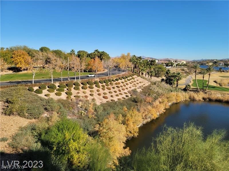 29 Montelago Boulevard 336 Henderson NV 89011