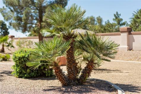 4941 Black Bear Road 204 Las Vegas NV 89149