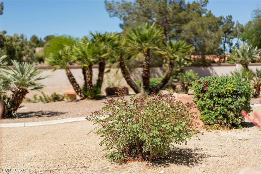 4941 Black Bear Road 204 Las Vegas NV 89149