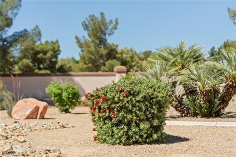 4941 Black Bear Road 204 Las Vegas NV 89149