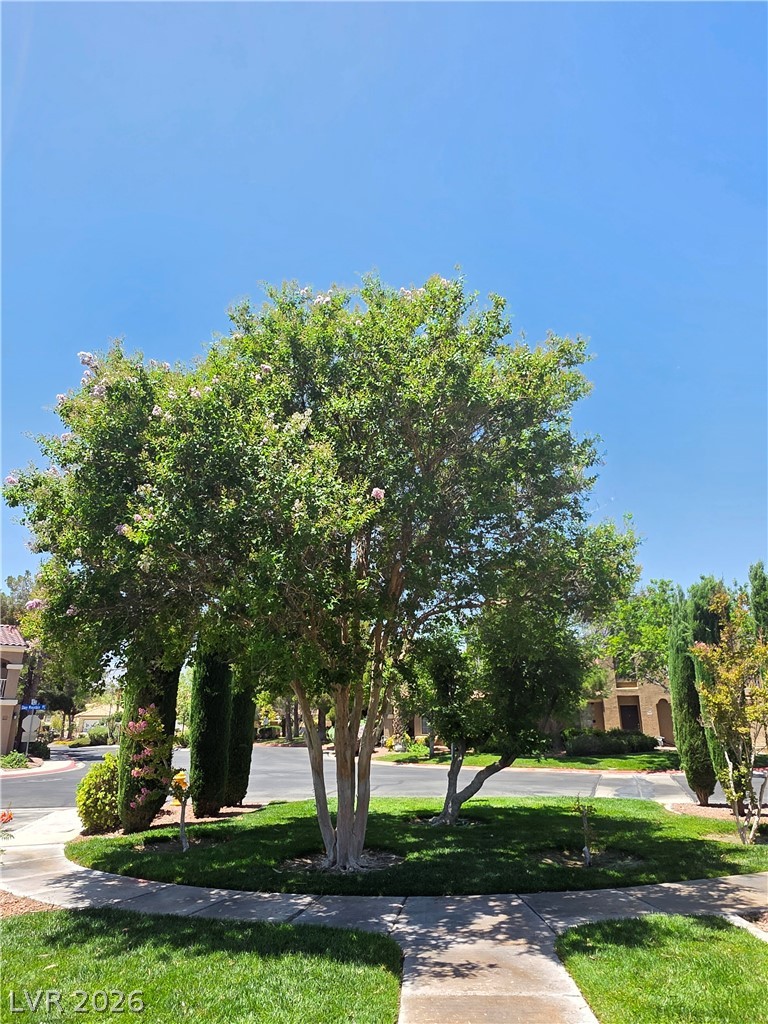 7290 Sheared Cliff Lane 101 Las Vegas NV 89149