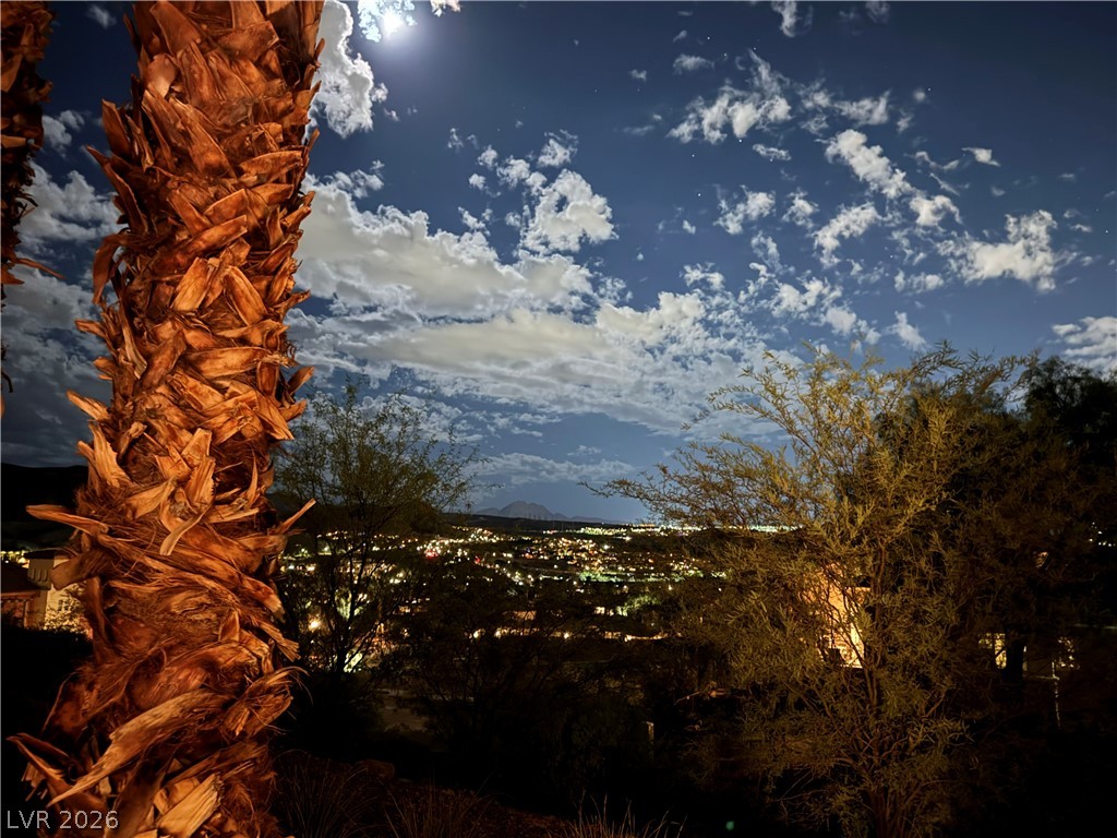 30 Via Vasari 103 Henderson NV 89011