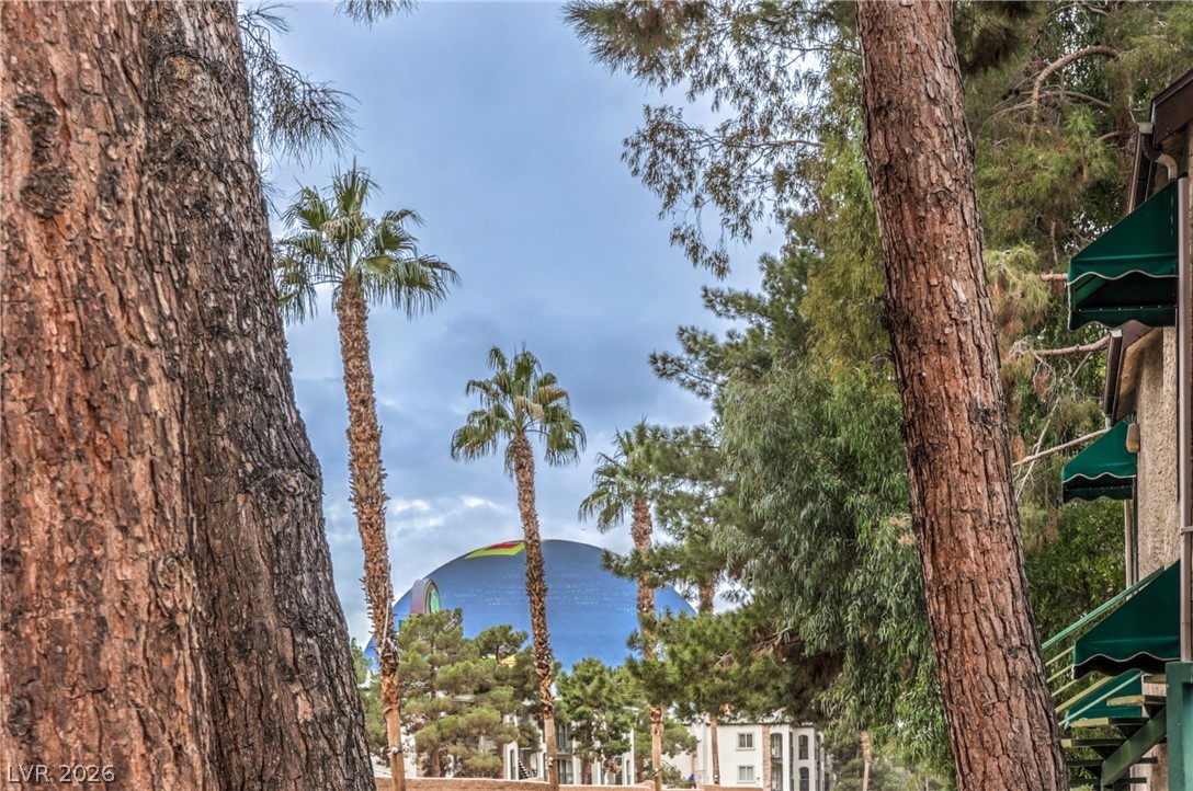 460 Elm Drive 204 Las Vegas NV 89169