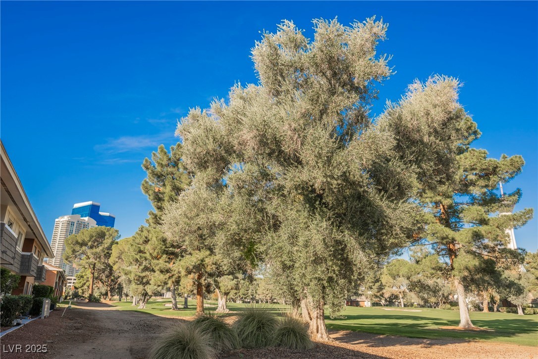 714 Oakmont Avenue 1109 Las Vegas NV 89109