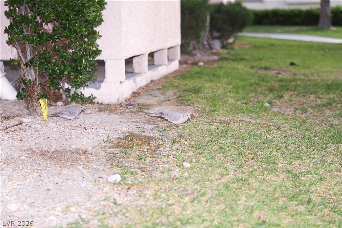4861 South Torrey Pines Drive 106 Las Vegas NV 89103