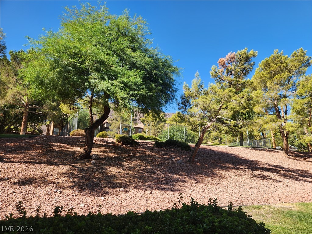 231 West Horizon Ridge Parkway 924 Henderson NV 89012