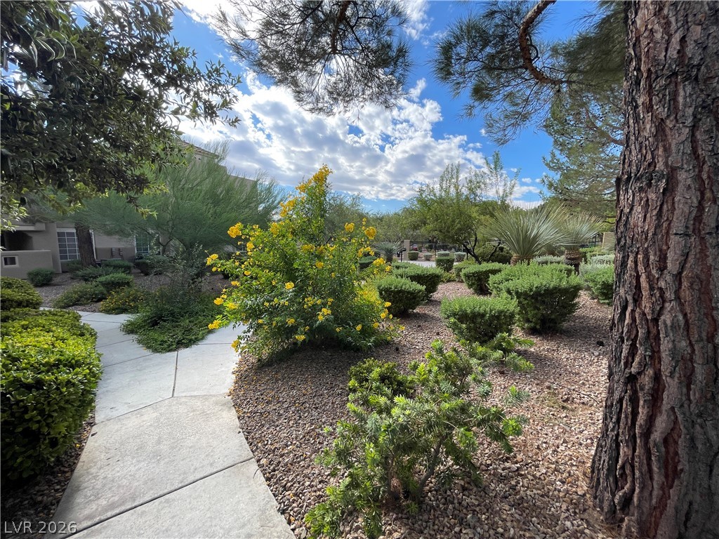 1908 High Valley Court 106 Las Vegas NV 89128