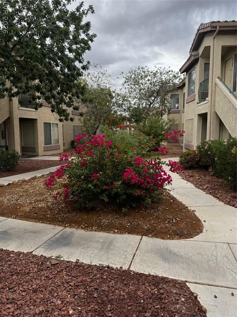 5710 East Tropicana Avenue 1094 Las Vegas NV 89122