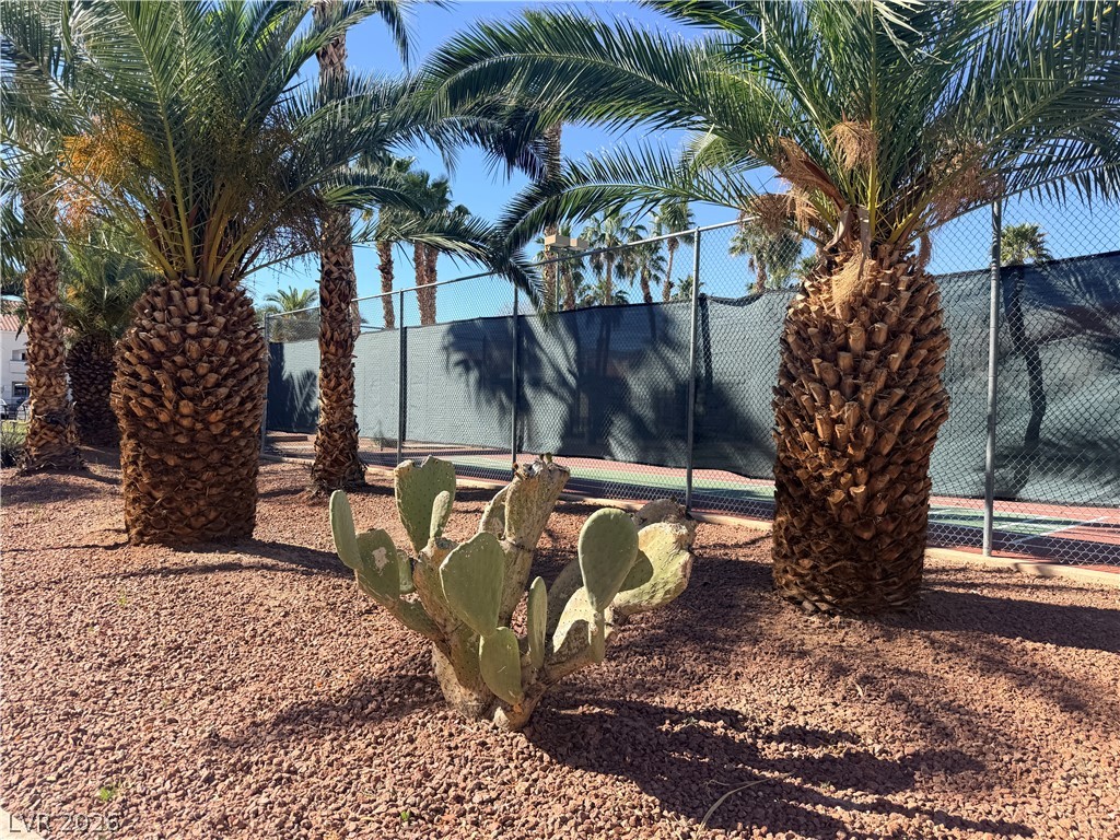 2725 South Nellis Boulevard 1163 Las Vegas NV 89121