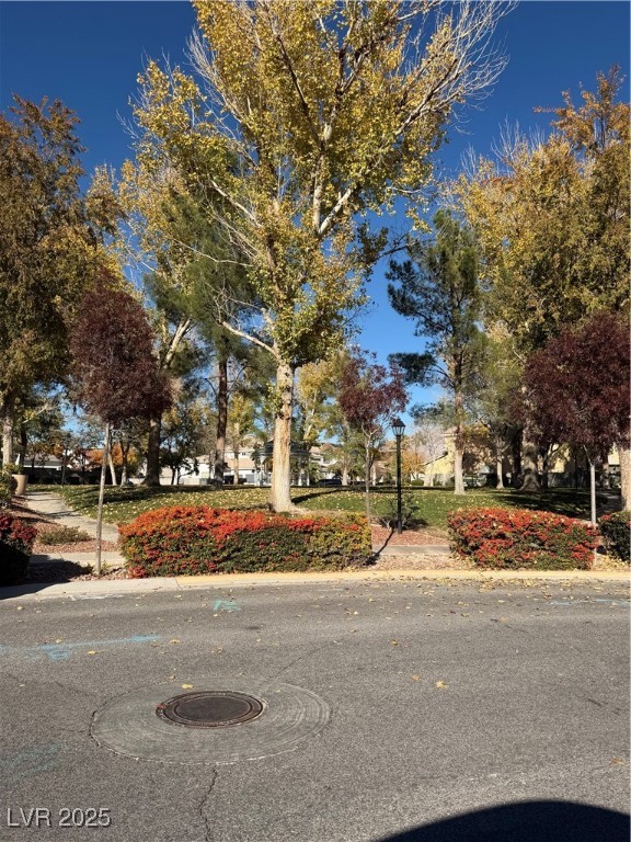 7360 Bachelors Button Drive Las Vegas NV 89131