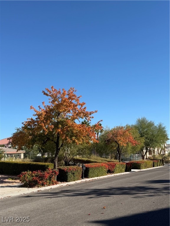 7360 Bachelors Button Drive Las Vegas NV 89131
