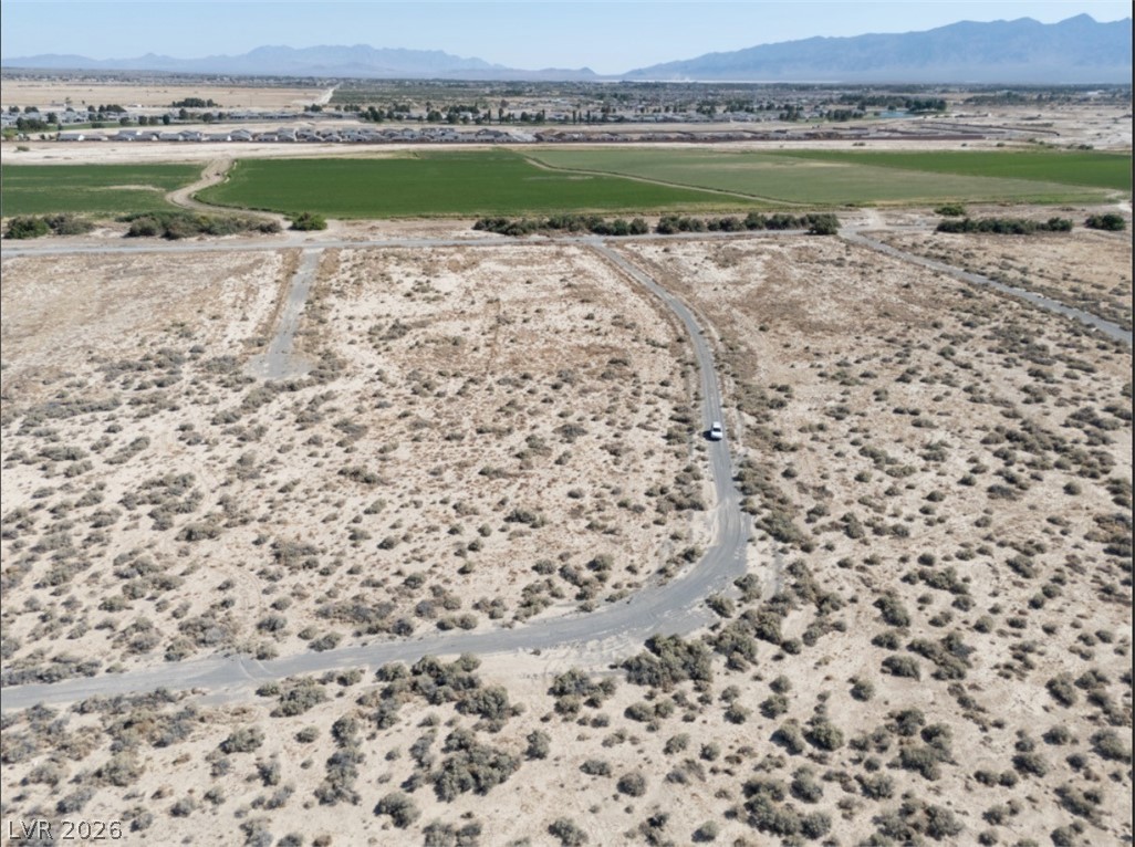4081 South Dice Avenue Pahrump NV 89048