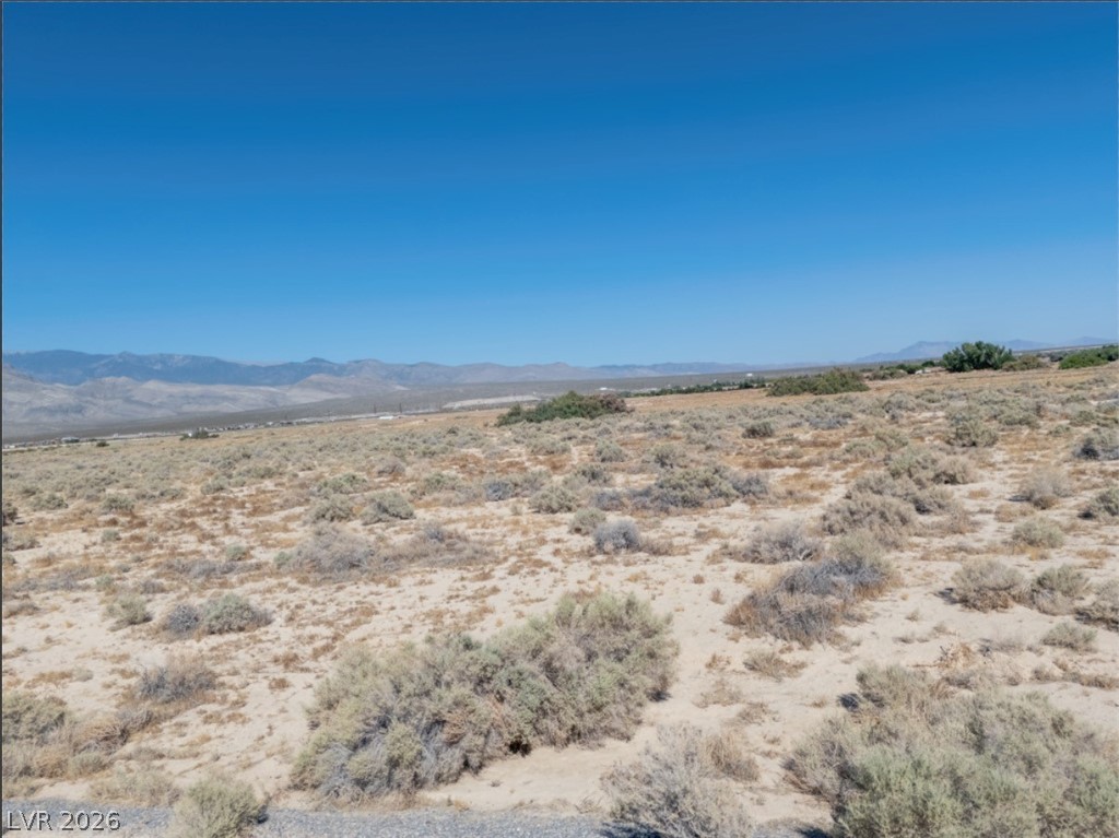 4081 South Dice Avenue Pahrump NV 89048