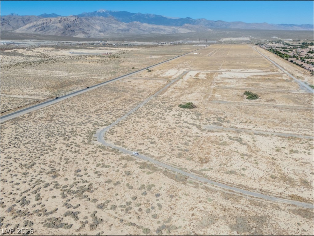 4081 South Dice Avenue Pahrump NV 89048