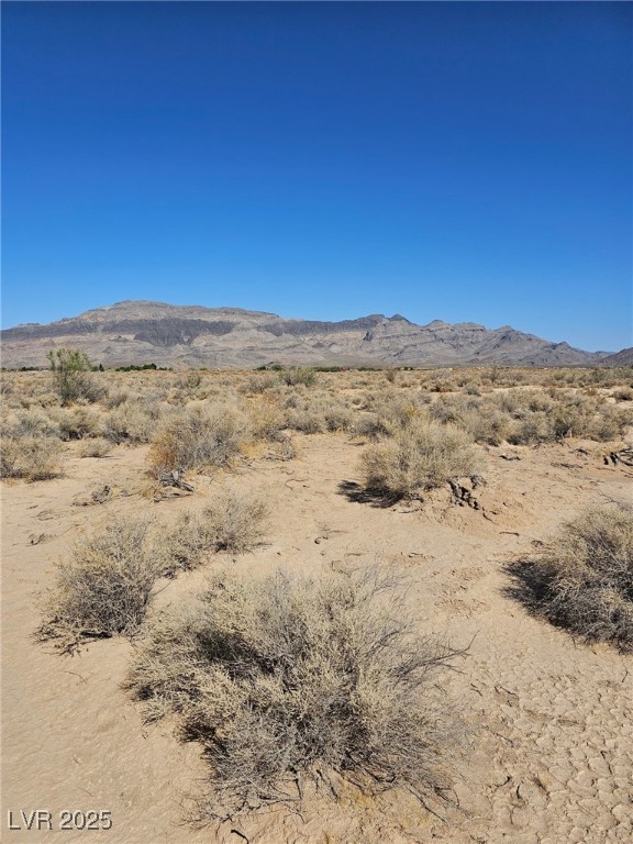 1061 West Nye Road Pahrump NV 89060