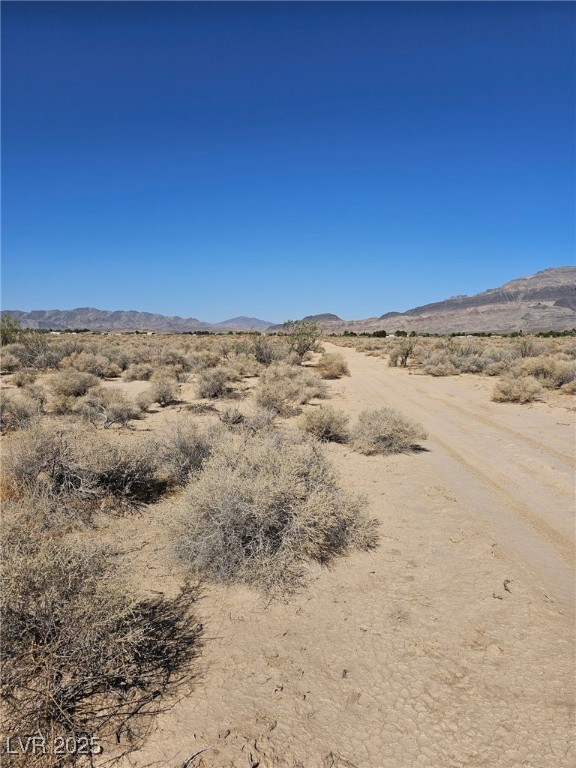 1061 West Nye Road Pahrump NV 89060