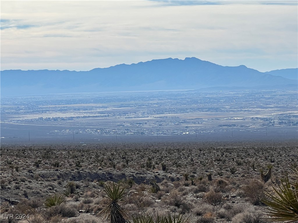2381 East Mazzuka Avenue Pahrump NV 89060