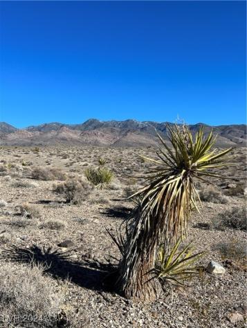 2381 East Mazzuka Avenue Pahrump NV 89060
