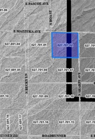 2381 East Mazzuka Avenue Pahrump NV 89060