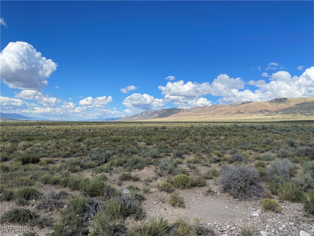 010-420-57 Ely NV 89301