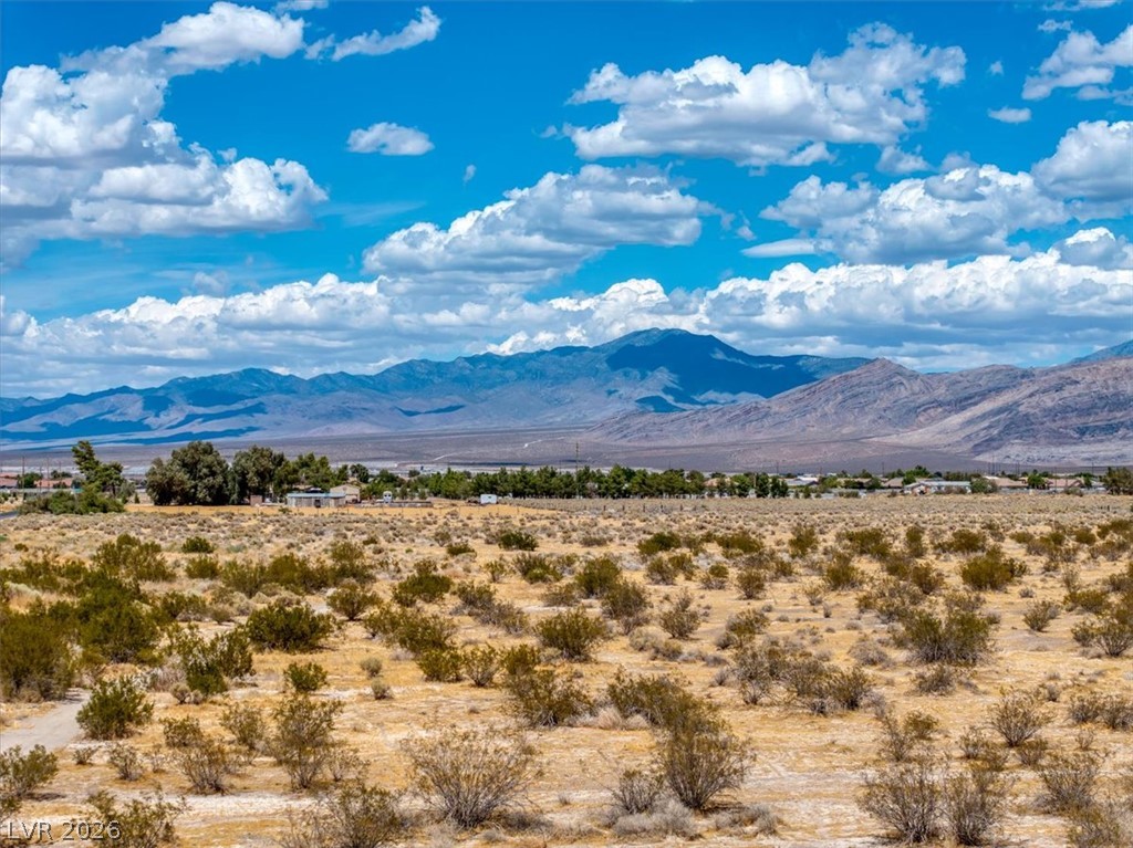 7401 South Fox Avenue Pahrump NV 89061
