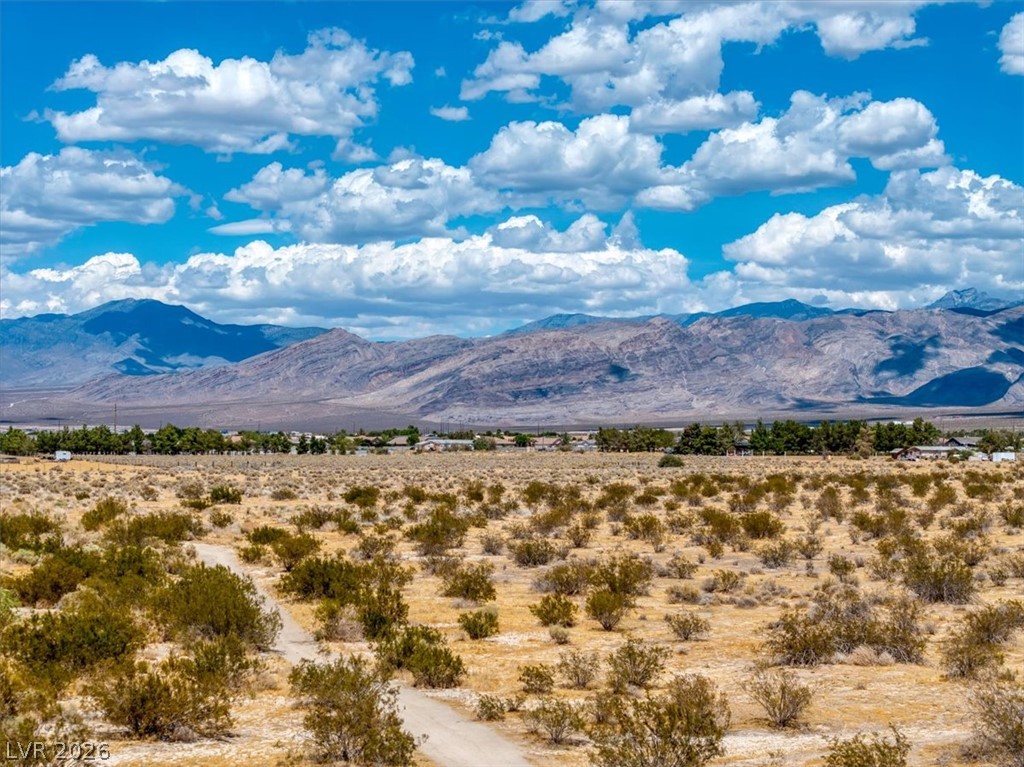7401 South Fox Avenue Pahrump NV 89061