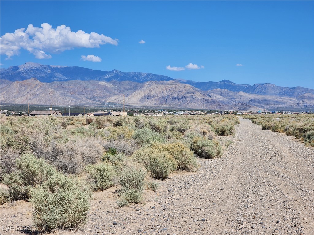 1621 East Deputy Street Pahrump NV 89048
