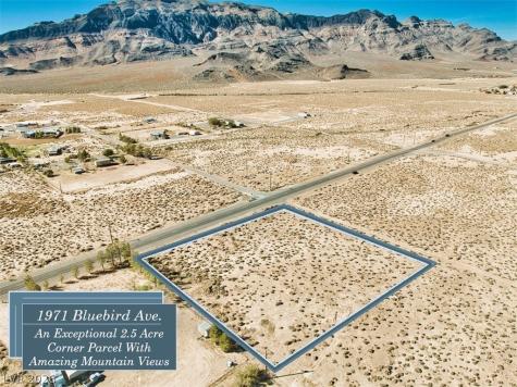1971 West Bluebird Avenue Pahrump NV 89060