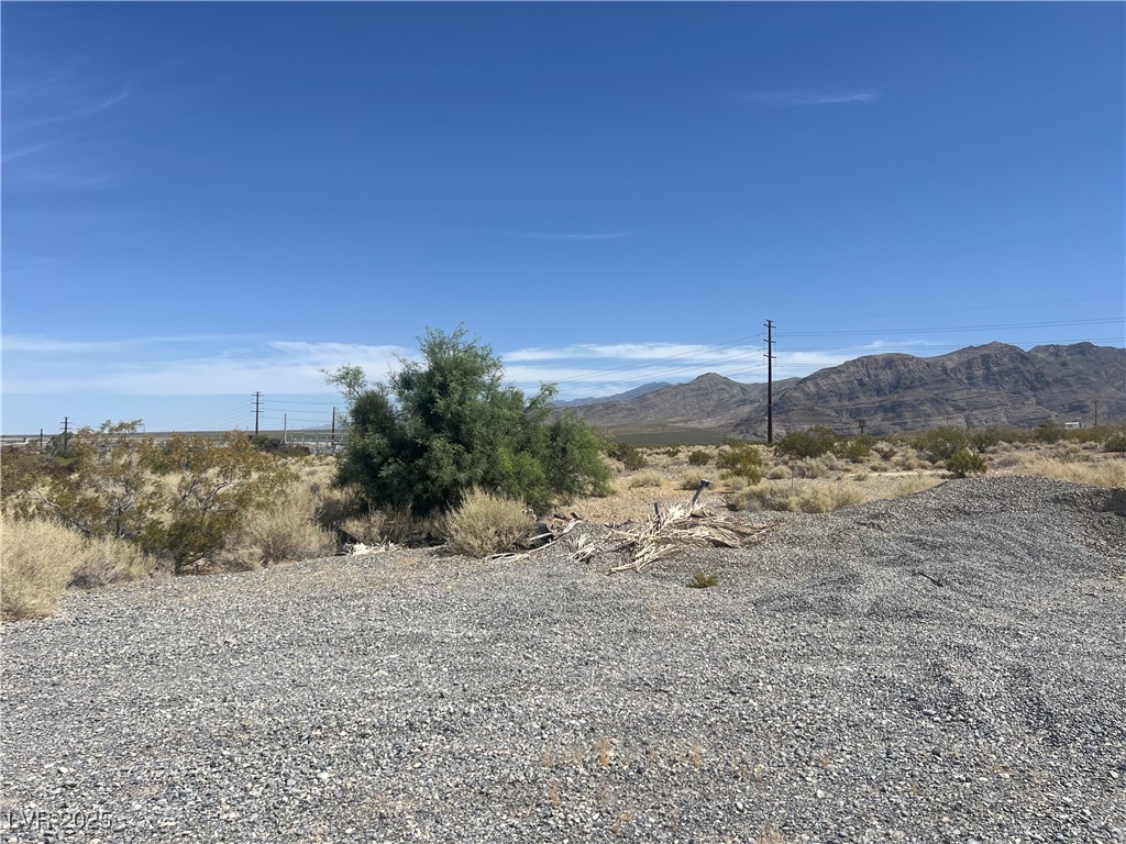 6390 East Diana Place Pahrump NV 89048