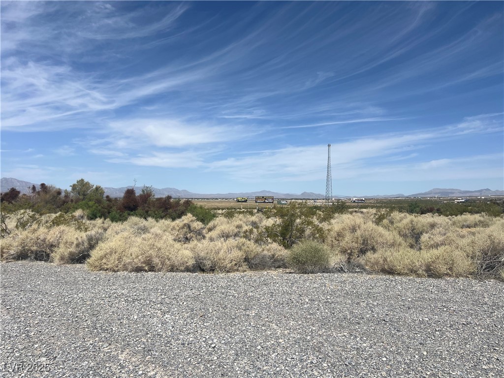 6390 East Diana Place Pahrump NV 89048