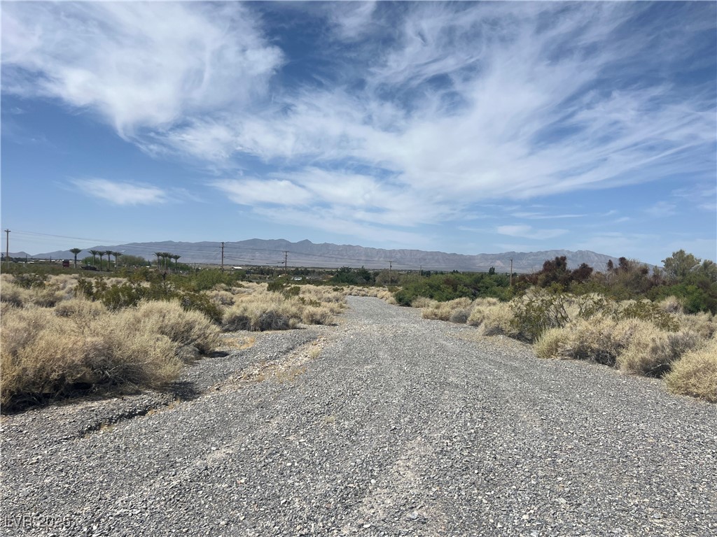 6390 East Diana Place Pahrump NV 89048