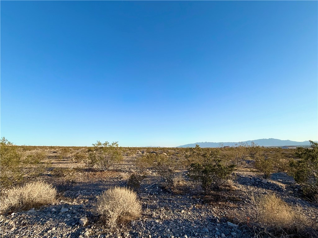 2191 East Nicholas Drive Pahrump NV 89060