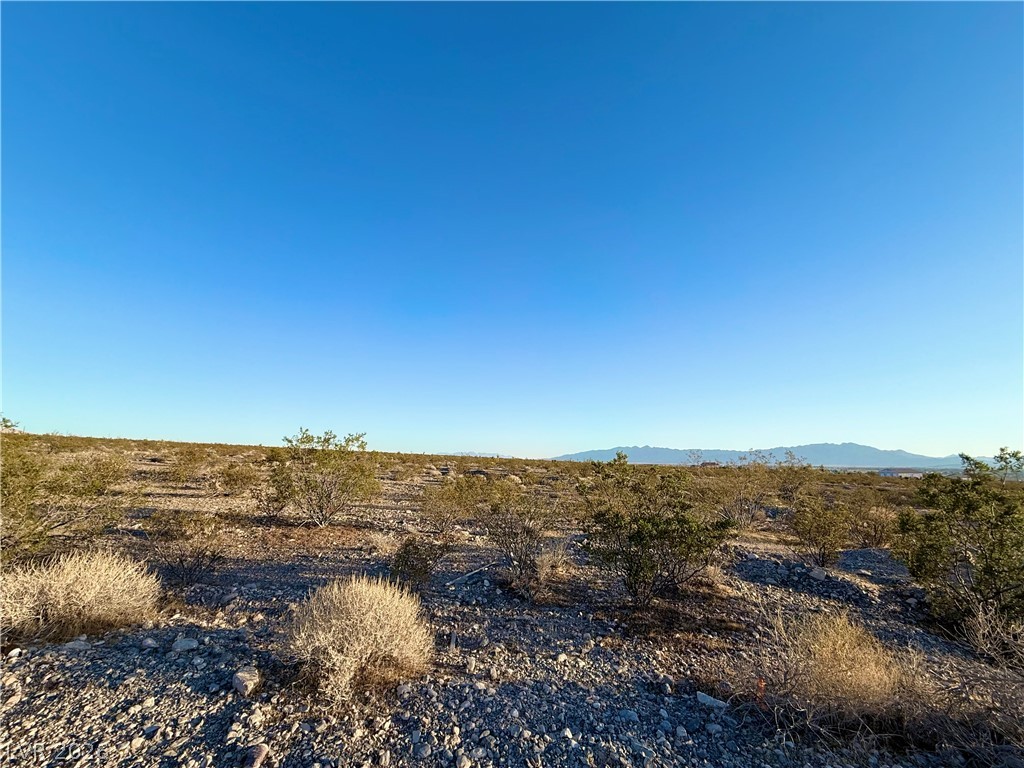 2191 East Nicholas Drive Pahrump NV 89060