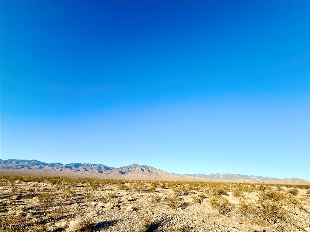 2191 East Nicholas Drive Pahrump NV 89060