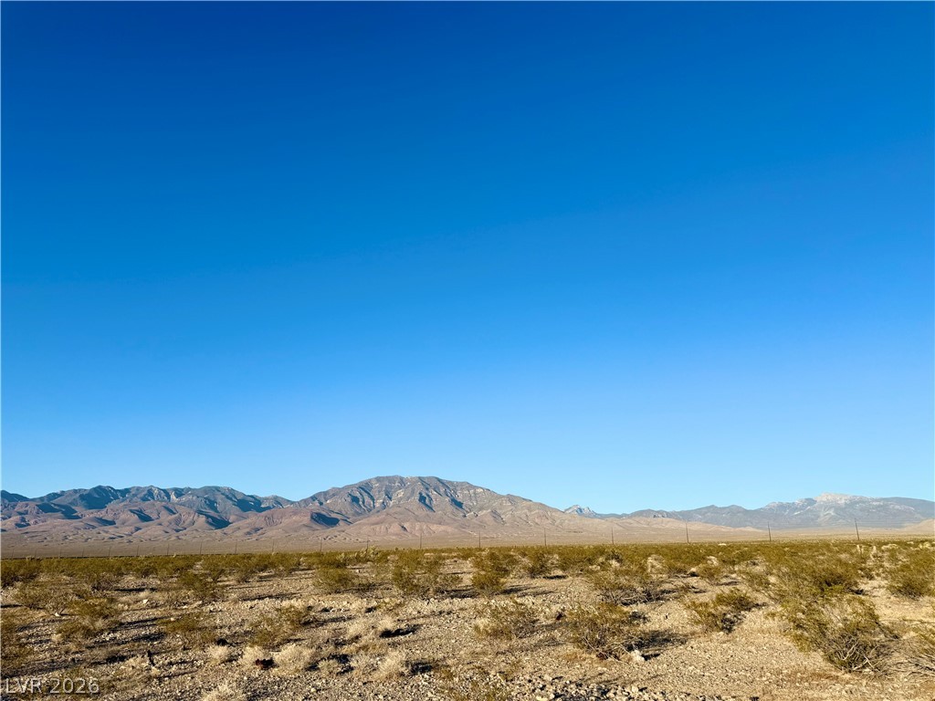 2191 East Nicholas Drive Pahrump NV 89060
