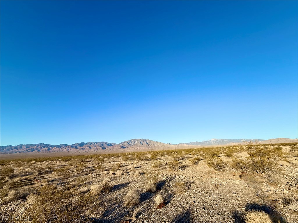 2191 East Nicholas Drive Pahrump NV 89060