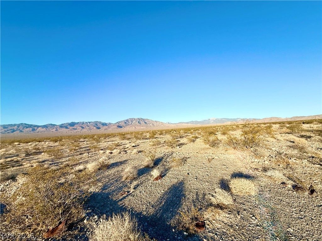 2191 East Nicholas Drive Pahrump NV 89060