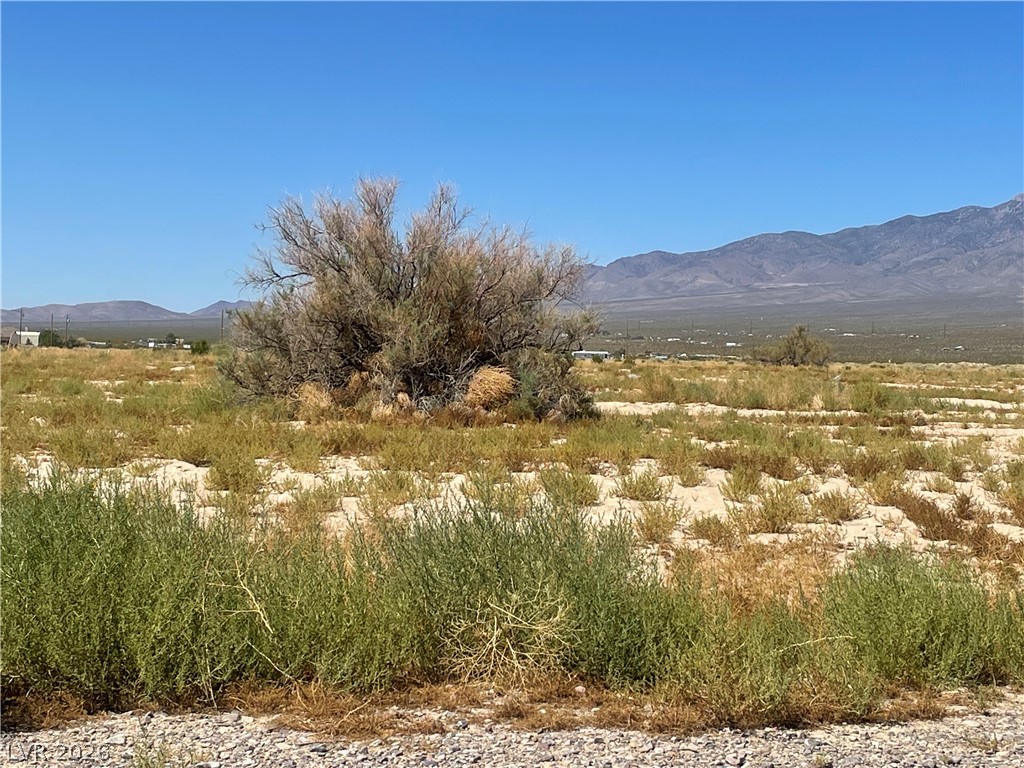 1280 West Cometa Lane Pahrump NV 89060