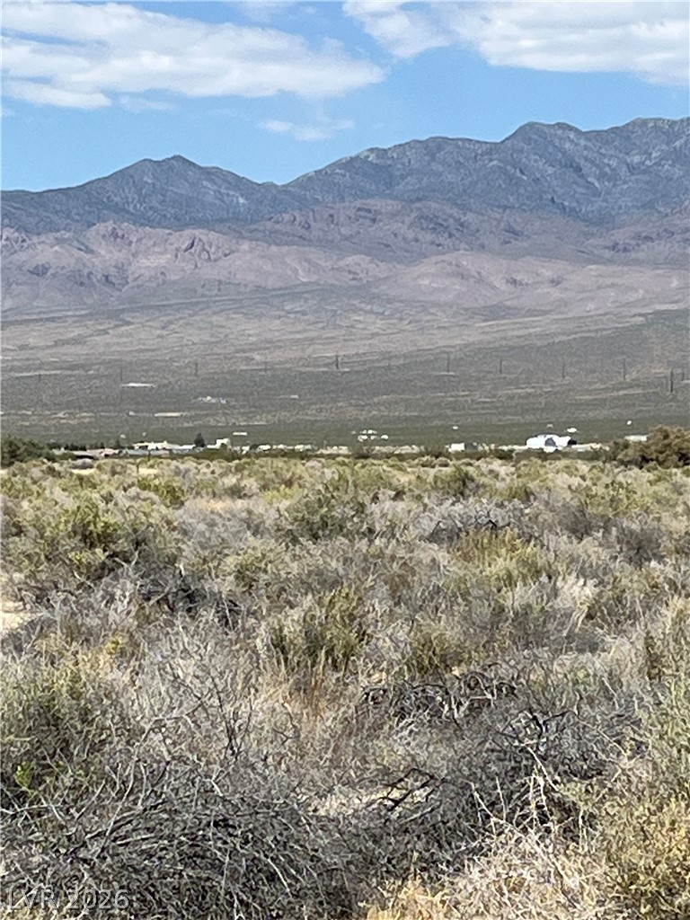 40 East Bonita Avenue Pahrump NV 89060