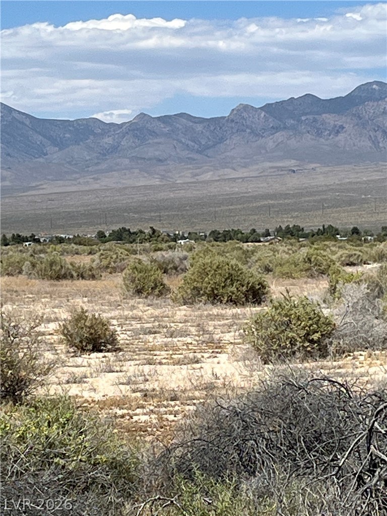 40 East Bonita Avenue Pahrump NV 89060