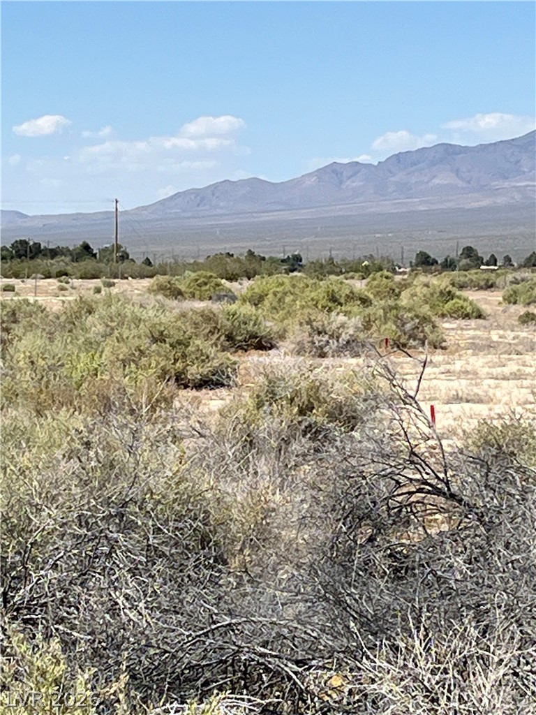 40 East Bonita Avenue Pahrump NV 89060