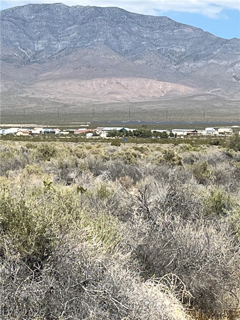 40 East Bonita Avenue Pahrump NV 89060