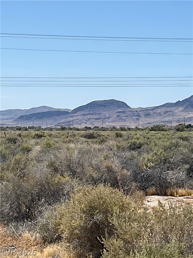 40 East Bonita Avenue Pahrump NV 89060