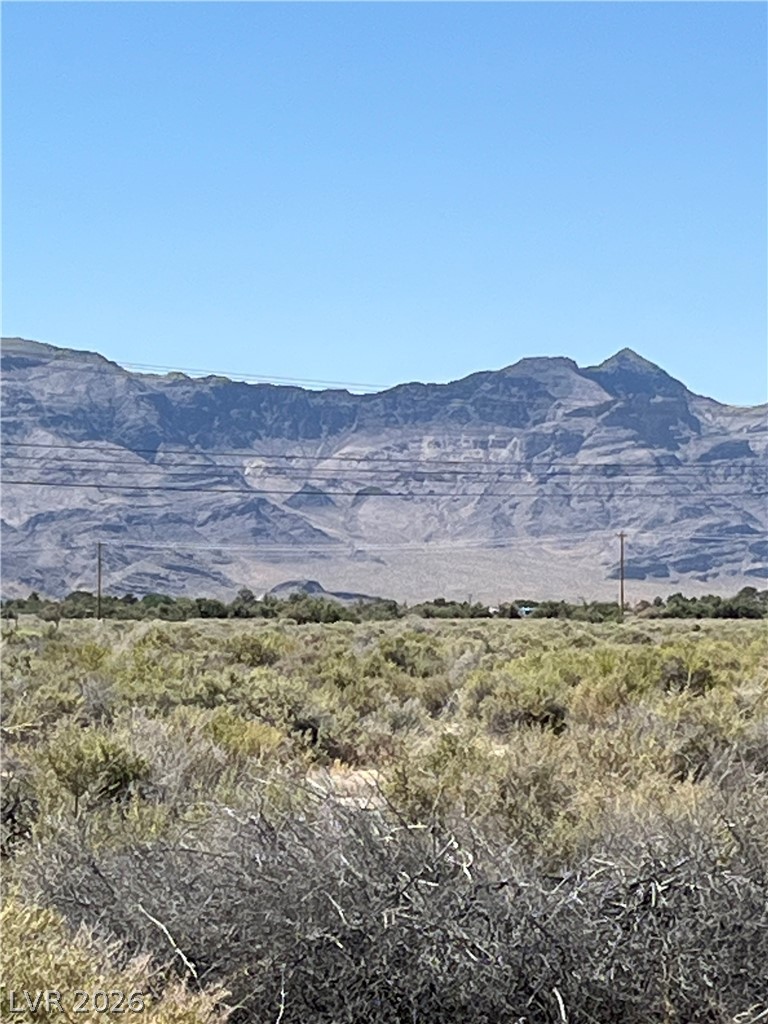 40 East Bonita Avenue Pahrump NV 89060