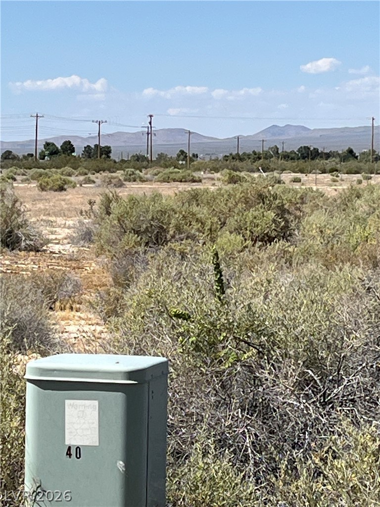 40 East Bonita Avenue Pahrump NV 89060