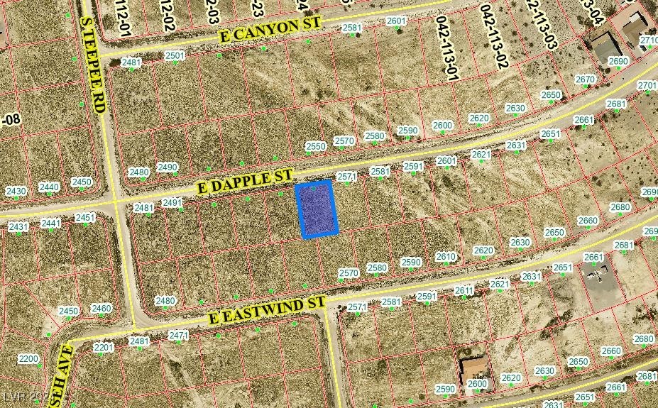 2551 East Dapple Street Pahrump NV 89048
