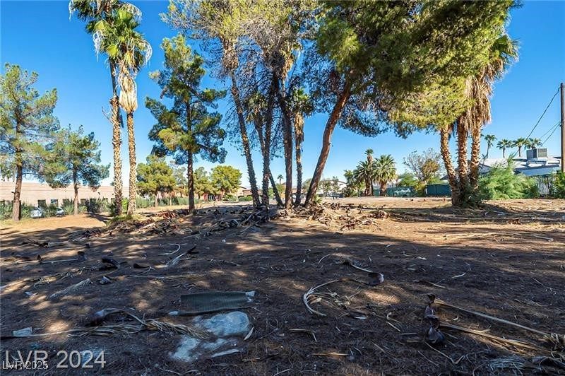 3515 East Sunset Road Las Vegas NV 89120