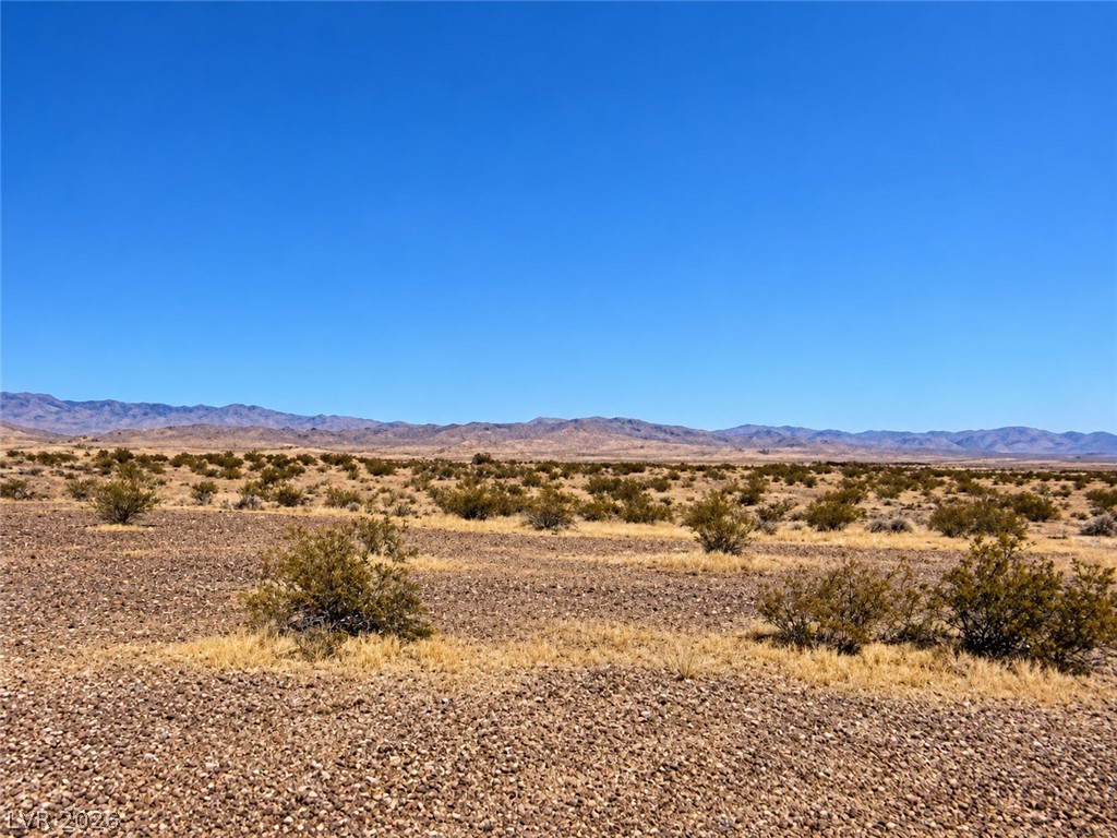 6461 North Jungle Avenue Pahrump NV 89060