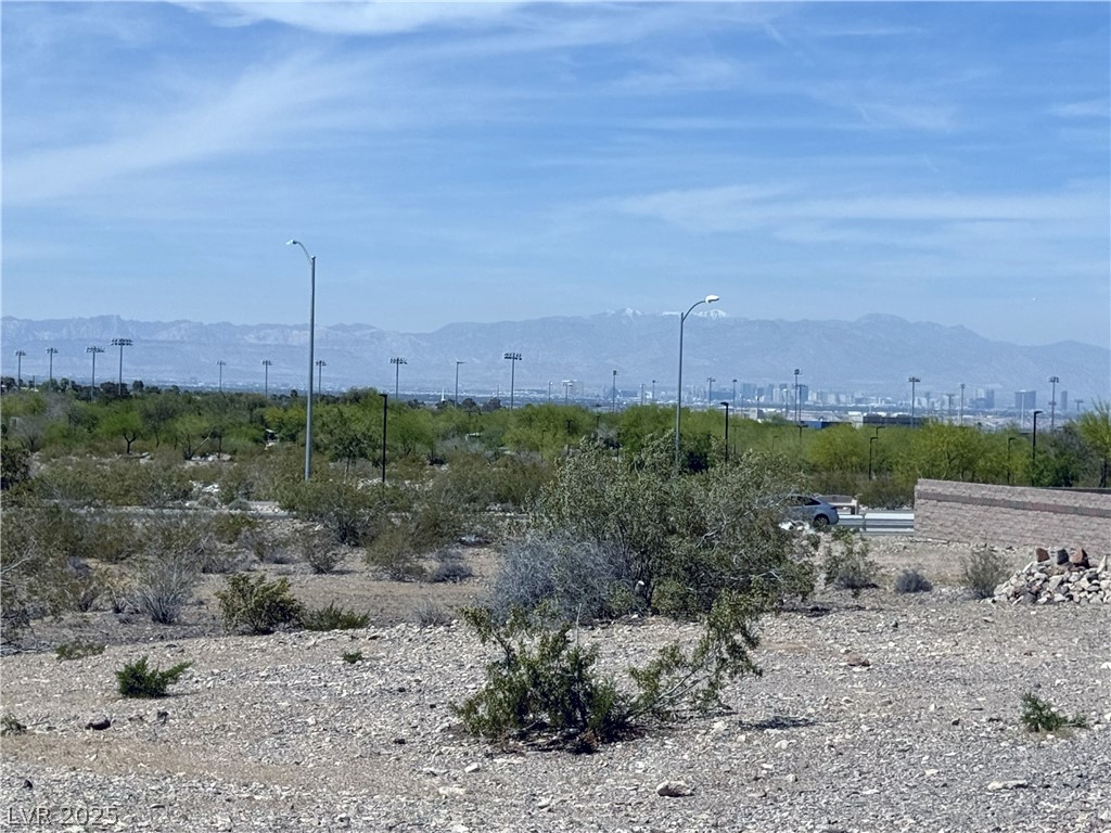 Racetrack And Venice Henderson NV 89015