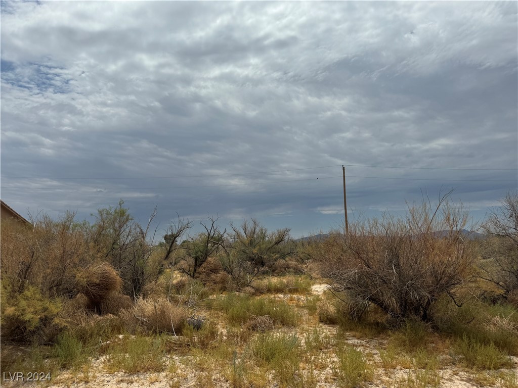 871 Gypsy Lane Pahrump NV 89060